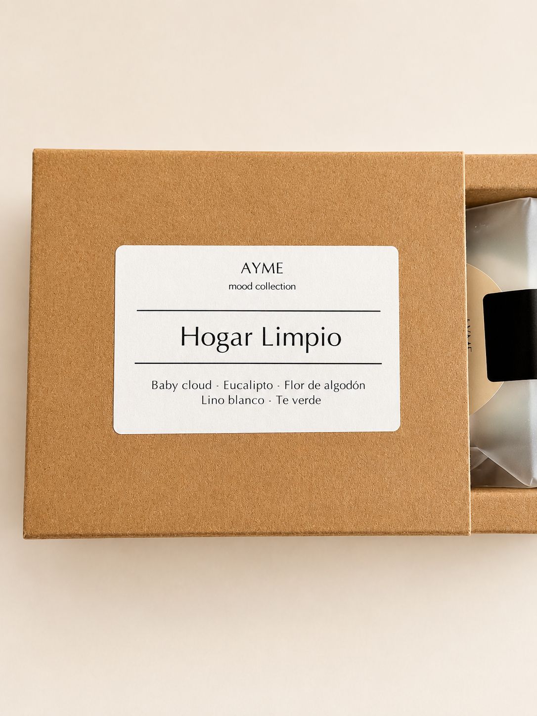 Hogar Limpio